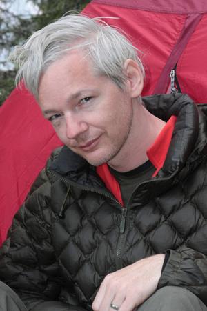 Wikileaks e la libert� della rete