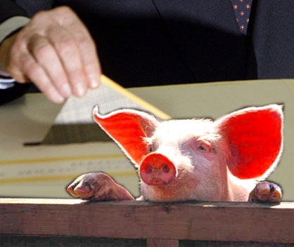 Una firma contro la �porcata�